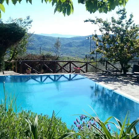 Casa Mezzuola Agriturismo Greve in Chianti