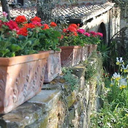 Vakantieboerderij Casa Mezzuola Agriturismo Greve in Chianti